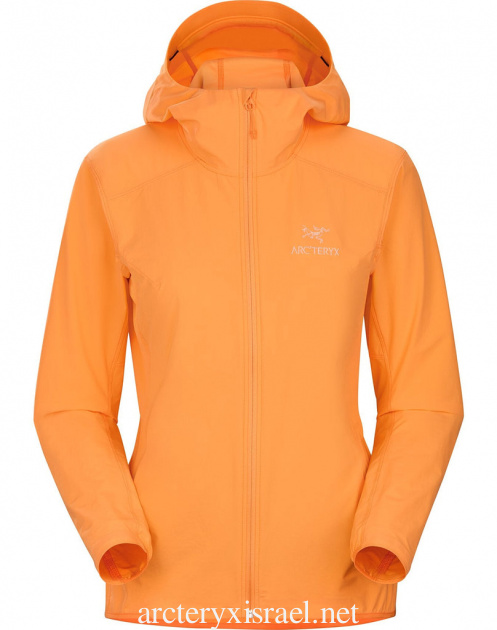 Horizon Arc'teryx מותג נשים Gamma Sl Hoody Isrekua124
